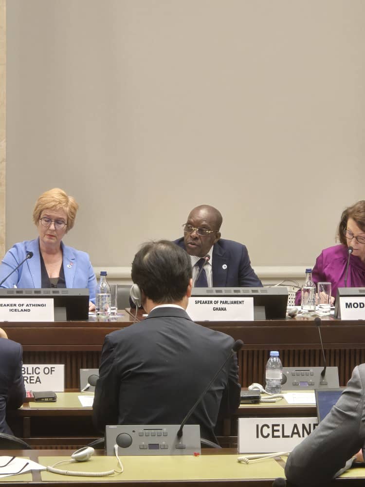 SPEAKER BAGBIN STANDS TALL