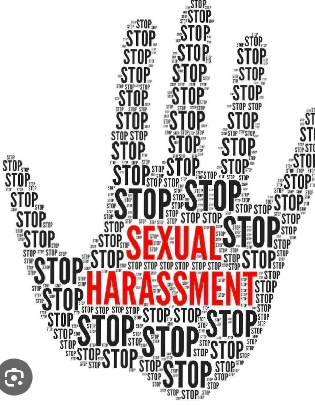 The Campaign Waged on Sexual Harassment in Our Second Cycle Institutions—One That is Better Late Than Never