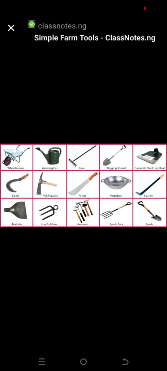 Farmers’ Day Without Farmland: A Nation Celebrating What It Is Destroying